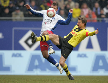 洋基队的威 洋基队的威